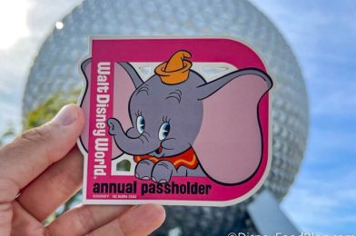 2 NEW Annual Passholder Perks Announced for Disney World