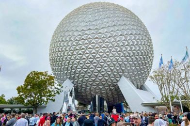 DFB Video: 7 PERFECT Days in Disney World