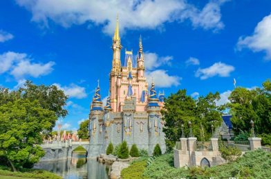 DATE ANNOUNCED for Park Pass CHANGES in Disney World