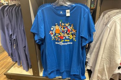 New Walt Disney World Pullover and Tee Featuring Mickey & Friends