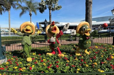 Check Out the NEWEST Additions Coming to the EPCOT Flower and Garden Festival