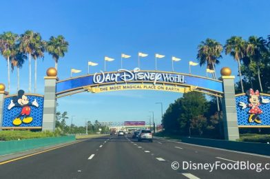 Is Any Parking Free at Disney World? Can You Avoid Fees?