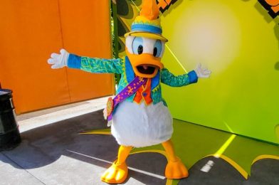 Disney World Turned Donald Duck Into an EGG — And We Have Thoughts