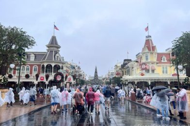 3 Updates to Know About Before You Visit Disney World During Hurricane Season