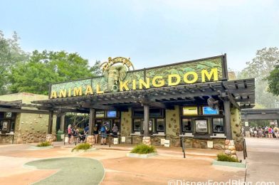 This Is NOT Something We Expected to See in Disney’s Animal Kingdom