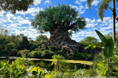 What’s New at Disney’s Animal Kingdom: A ‘Toy Story’ Spirit Jersey