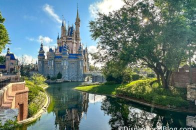 It’s the END of an ERA – Come See the Last Day of the 50th Anniversary in Disney World!