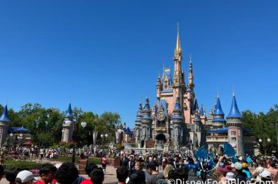 What’s New at Magic Kingdom: The 50th Anniversary Is Disappearing!