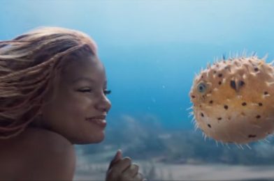 “We Deserve to Be in Spaces Like These as Well” — Celebrity Halle Bailey Comments on Being Disney’s NEW Ariel