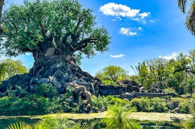 Best Desserts in Animal Kingdom for 2023