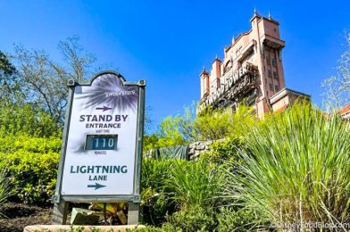 What’s New at Hollywood Studios: Loungefly Bags and Spirit Jerseys!