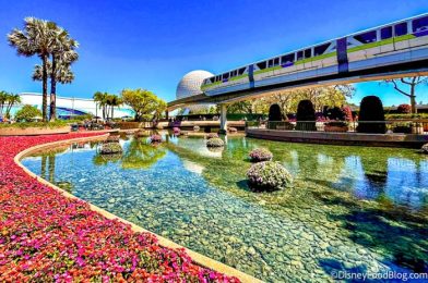 PHOTOS: See the NEW Pavilion Going Up in Disney World