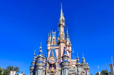 Why Annual Passholders Need to Go to Disney World ASAP!