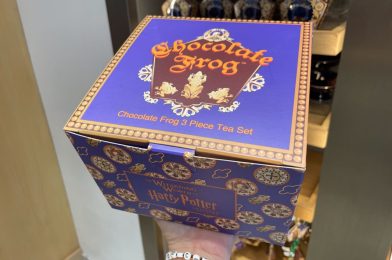 PHOTOS: New ‘Harry Potter’ Chocolate Frog Tea Set Reimagines the Wizarding World Sweet at Universal Orlando Resort