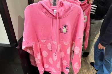 New Spirit Jerseys for Stitch, Lotso, & ‘The Lion King’ Now On Sale at Disneyland Resort