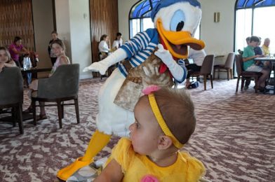 Don’t Be Afraid to Bring Your Baby to Walt Disney World!