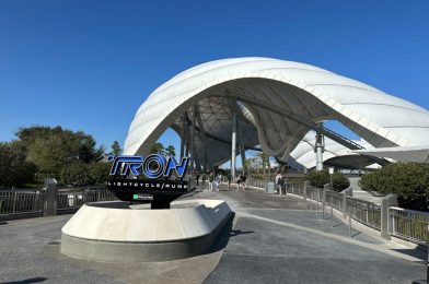 TRON Lightcycle Run Not Accommodating Late Boarding Group Arrivals for Virtual Queue, Despite Erroneous Estimated Callback