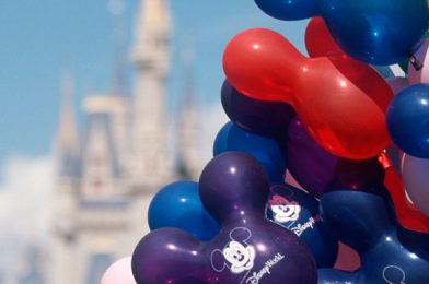 Walt Disney World Summer 2023 Discount