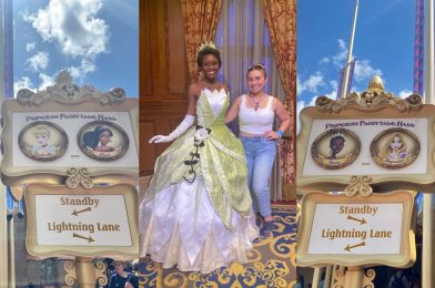 All the Disney Characters You Can Meet in Fantasyland at Magic Kingdom