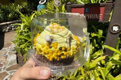 REVIEW: Bee Hive Mousse Dome for Earth Day 2023 at Disney’s Animal Kingdom