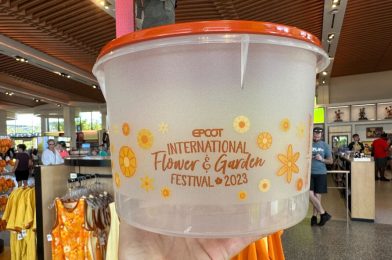 NEW Orange Bird Tupperware Arrives for EPCOT International Flower & Garden Festival