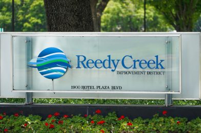 New Oversight Board Preparing for Potential Legal Battle with Walt Disney World Over Reedy Creek Property