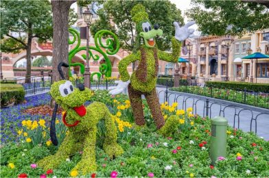 Take a Look at Springtime at the Shanghai Disneyland Resort