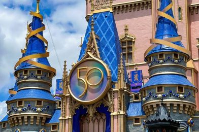 A Disney World Attraction Will Change SOON