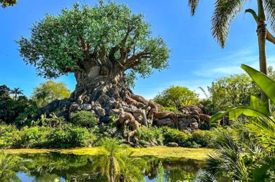 The Cool Feature You Never Knew About at Disney’s Animal Kingdom