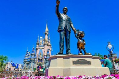 NEW Disney World Hotel Discount Announced for Florida Residents