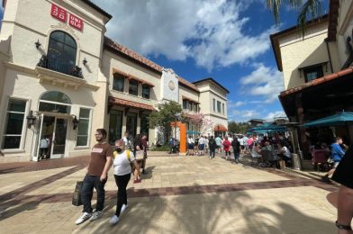 Disney Springs Bus Schedule, Tips and Advice