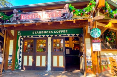 The Ultimate Guide to the Best Coffee in Disney’s Animal Kingdom