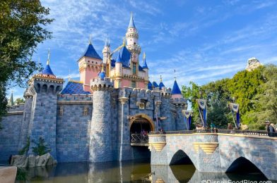 Disneyland Executives Share UPDATE on Theme Park Expansion Project