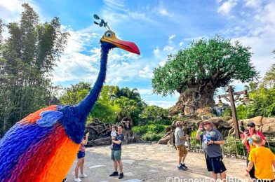 The MEGA-Long Line We Were Not Expecting in Disney World