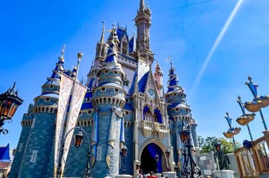 Don’t Be Like Me! Major Mistakes I’ve Made in Disney World