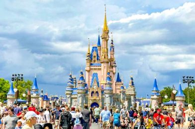 The BIG Gamble You Take When Visiting Disney World Right Now