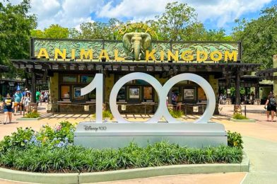 100th Anniversary CHEESE Debuts in Disney World (No, We’re Not Kidding)