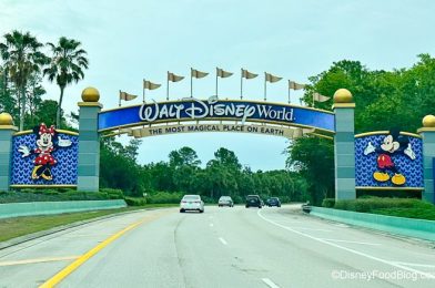 Rise of the Resistance Sees Major Wait Time DROP in Disney World