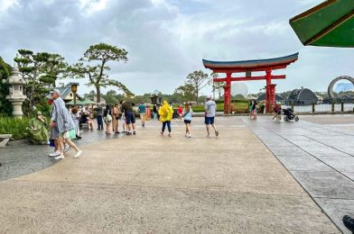 The Bizarre Discount You Can Get in Disney World When It Rains