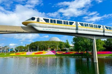 The BIGGEST Skyliner Mistake That Rookies Make in Disney World