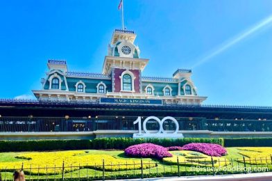 EVERY Magic Kingdom Ride and Attraction — 2023 Guide