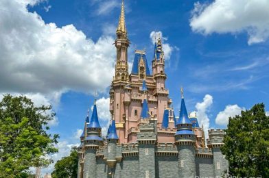 How To Solve 2 Brand New Problems in Disney World