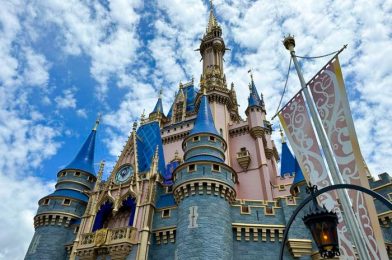 The 5 BEST Amazon Deals For Your Next Disney Trip