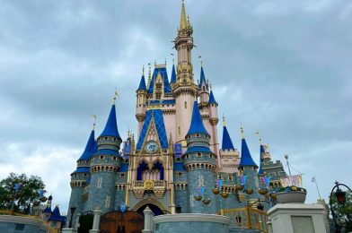 Major PROBLEMS Could Impact Your 2024 Disney World Trip Booking