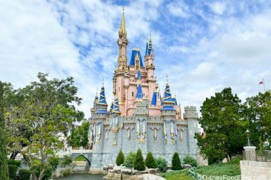 Best Deals On Disney World Discount Tickets