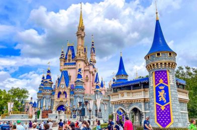 Cringeworthy Things We Don’t Want To Admit We Do in Disney World, Too