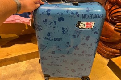 DFB Video: 17 Things I JUST Started Bringing to Disney World