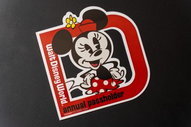 Walt Disney World Annual Passholder Discounts to Increase This Summer for V.I.Passholder Days