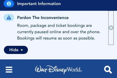 2024 Walt Disney World Resort Reservations Open Briefly, Then Close as Guests Overwhelm System