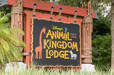 Beach Club vs. Animal Kingdom Lodge Disney World Resort Guide 2023